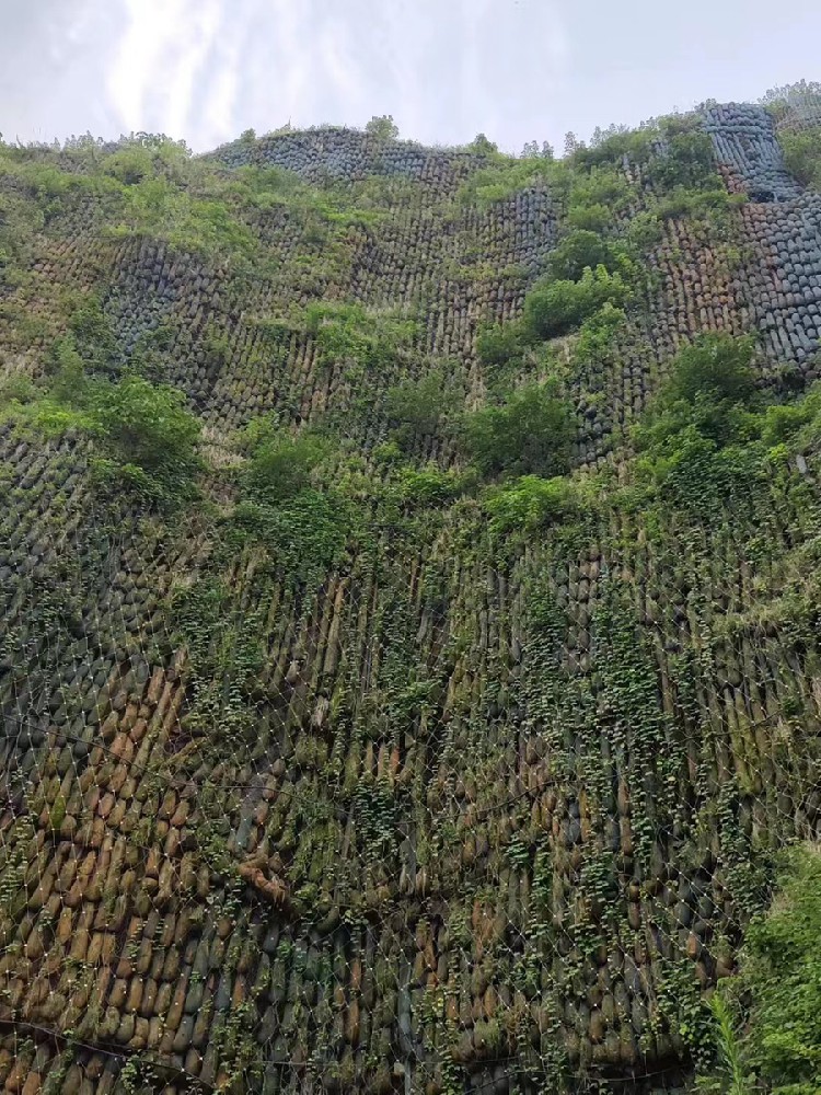 湖北植生袋山体绿化项目